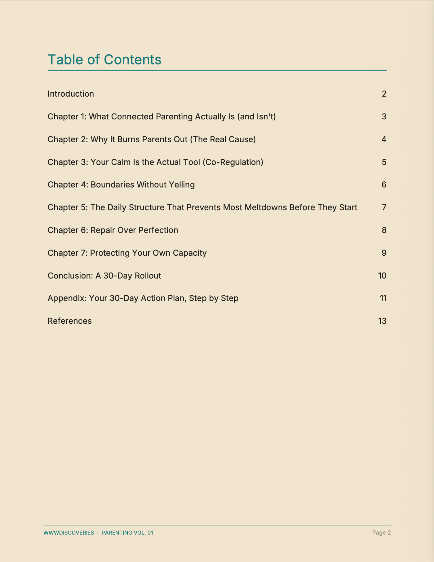 The table of contents, listing seven chapters, a conclusion and a 30-day action plan