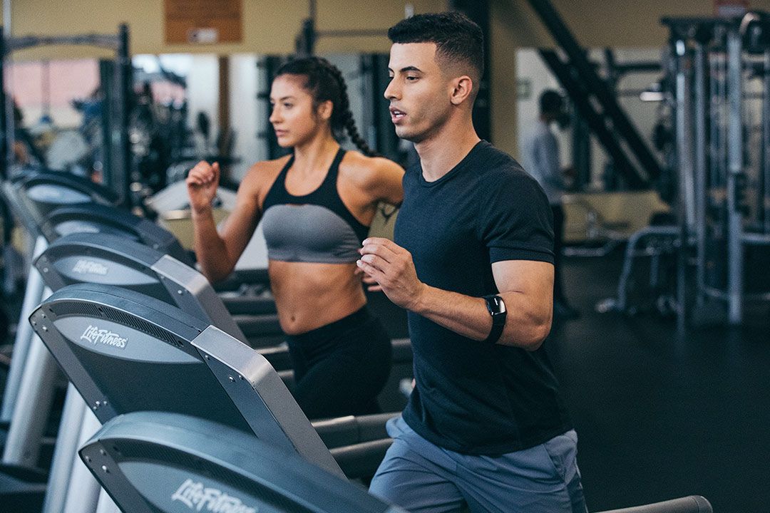 Imagen destacada de Todo lo que necesitas saber sobre el fitness