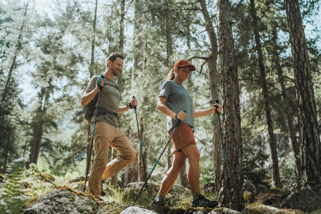 Imagen destacada de Los mejores bastones de trekking del 2025