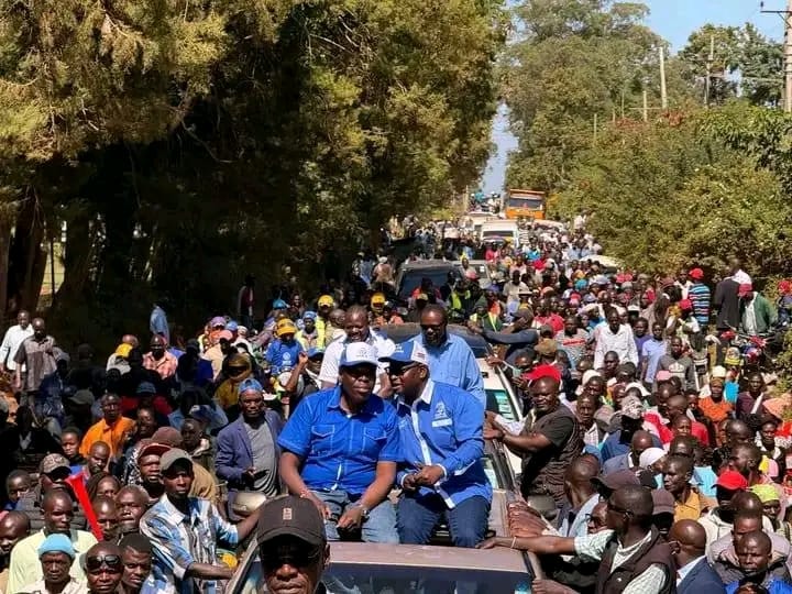 Meet Our DAP–K Flag Bearers for the November 27th By–Elections