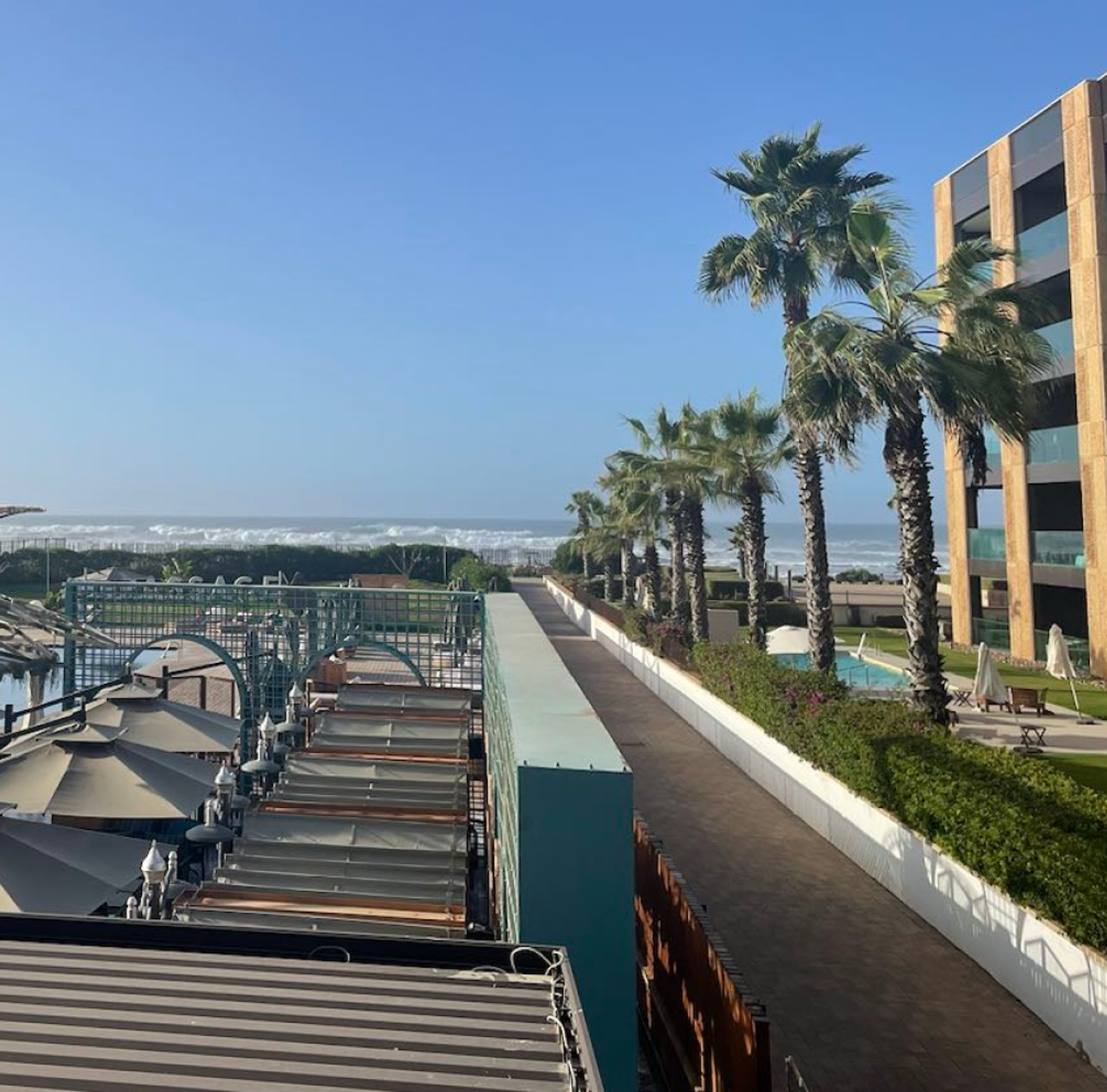 A rooftop garden at TikTok's offices in Africa.