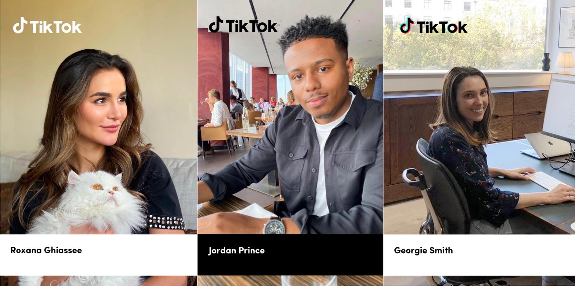 Introducing Our Legal Team