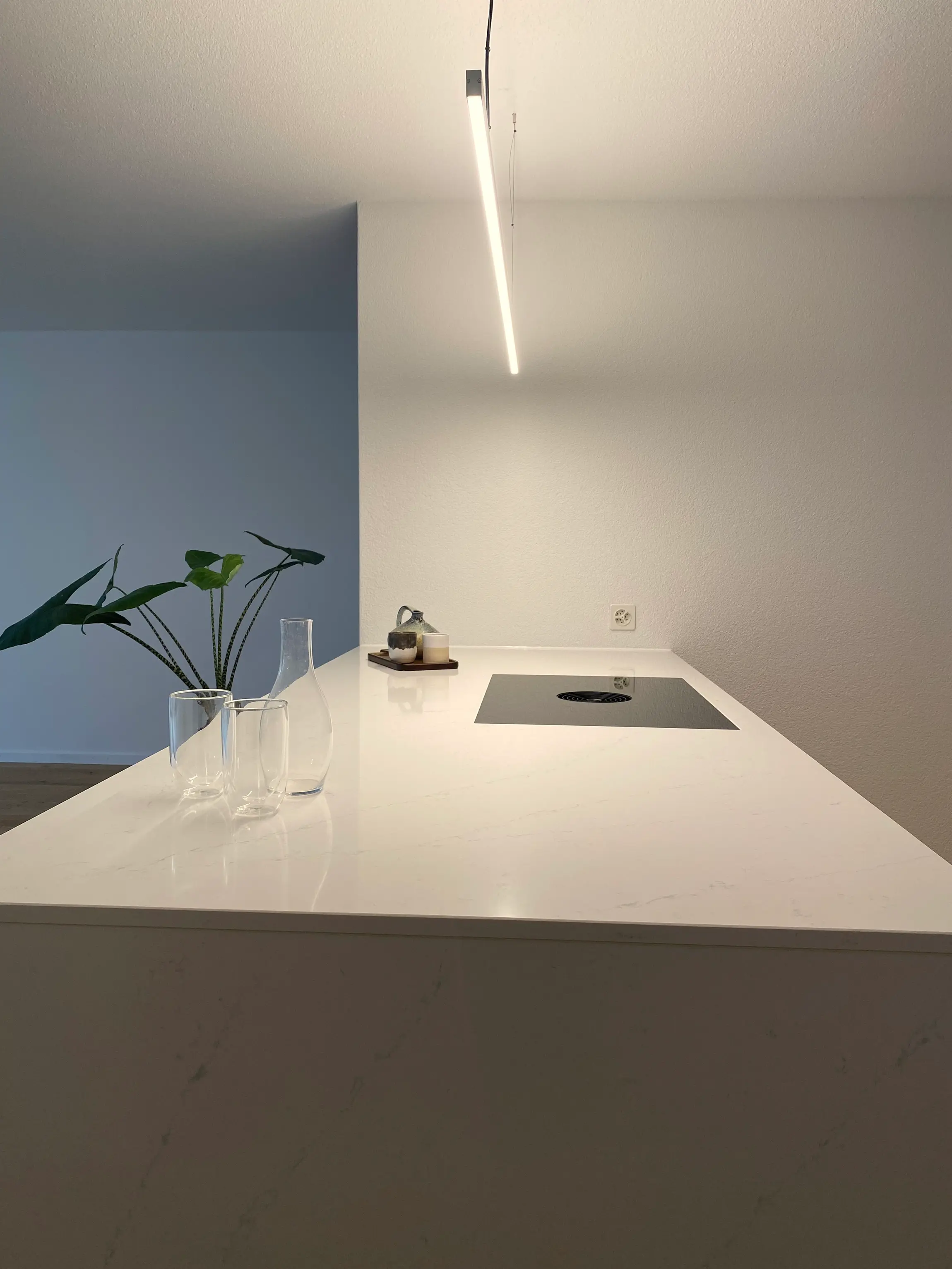 projectImage