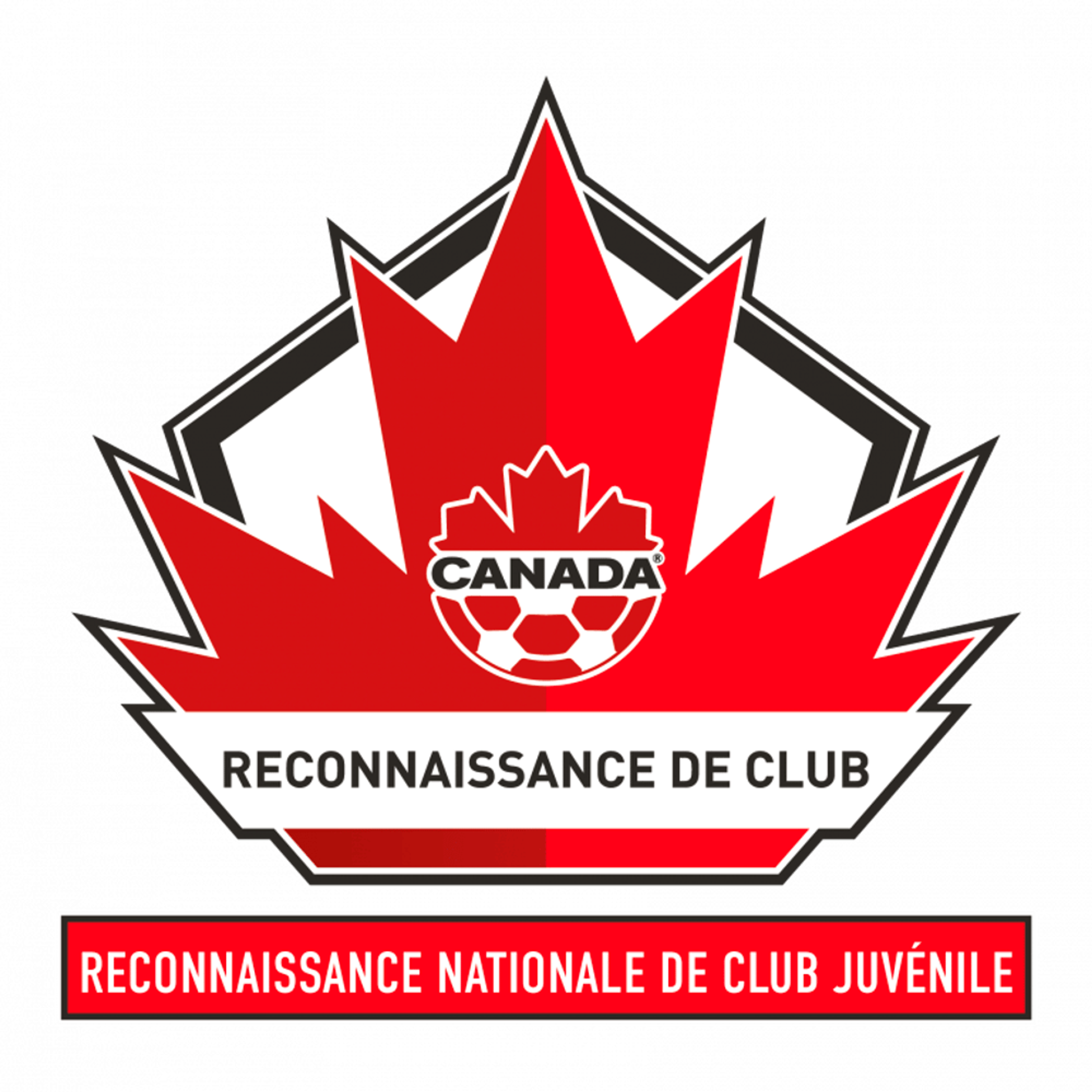 DE L’INITIATION À LA LS PRO