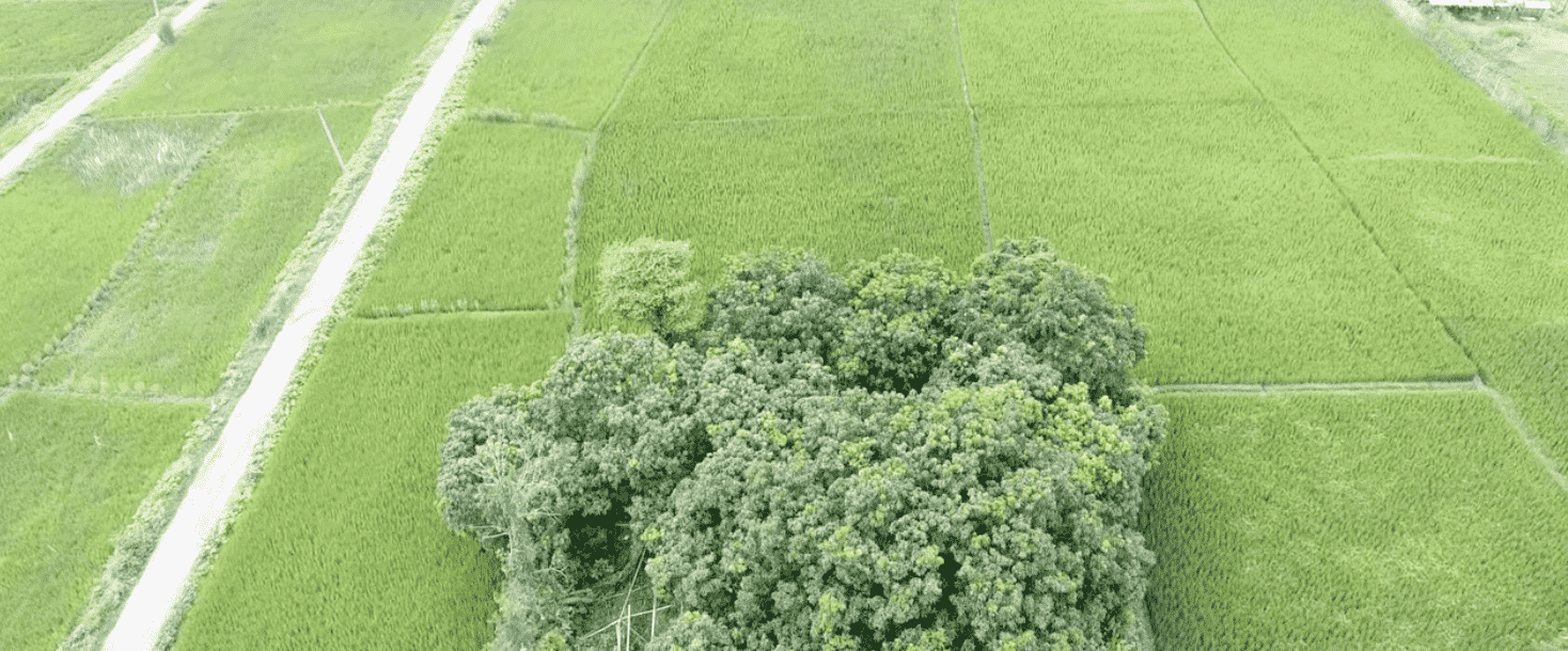 Precision Agriculture: Enhanced Vision for farmers in Nepal