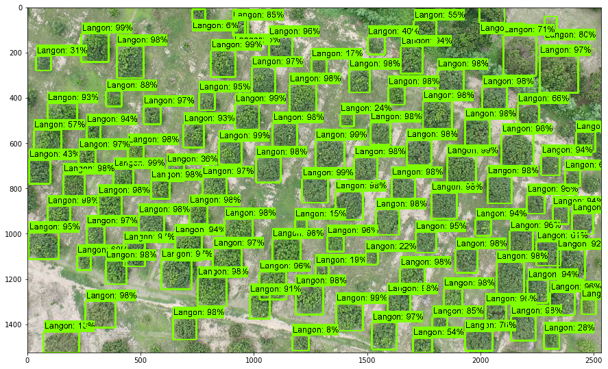 Object Detection in an Aerial Imagery using Deep Learning Neural Network. (Review on Longan Fruit Tree).