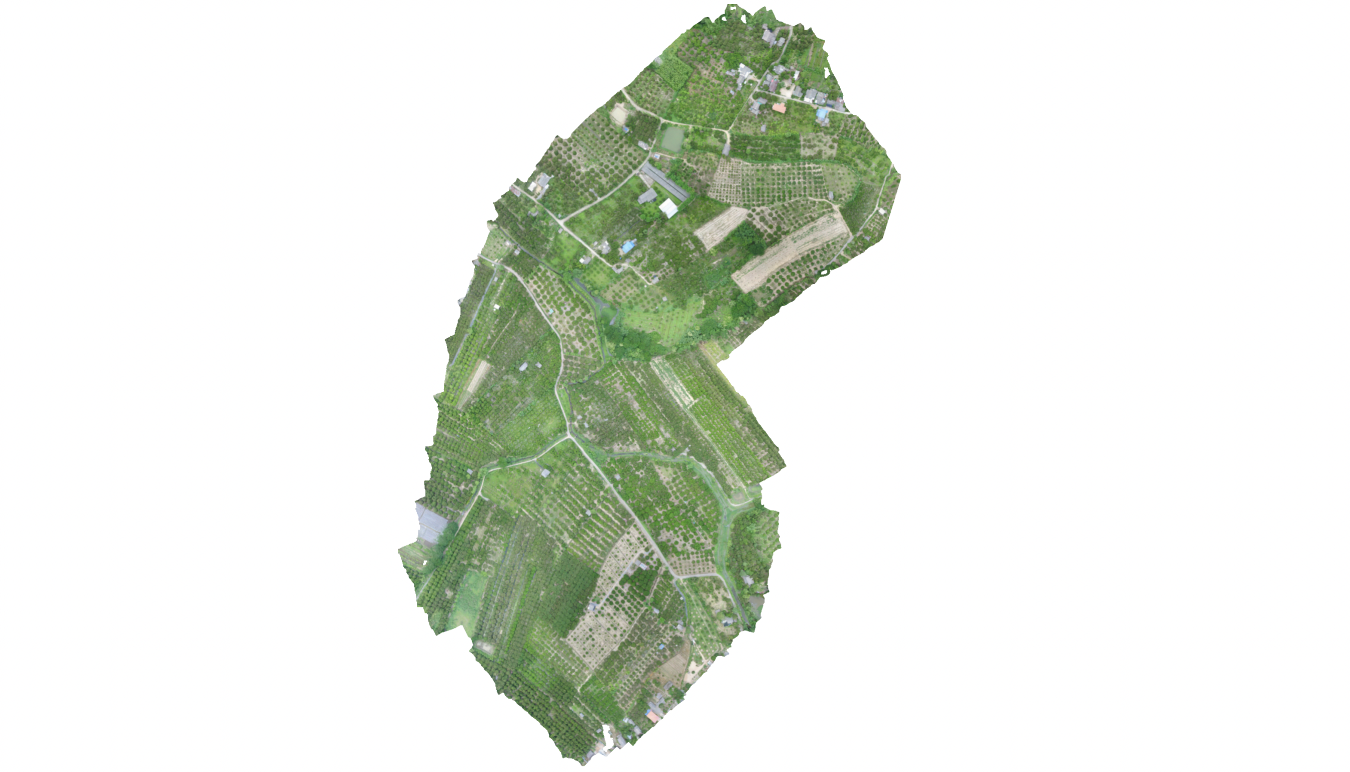 Fig. 1 Study Area, consisting longan plantation in tropical farmland of Northern Thailand.