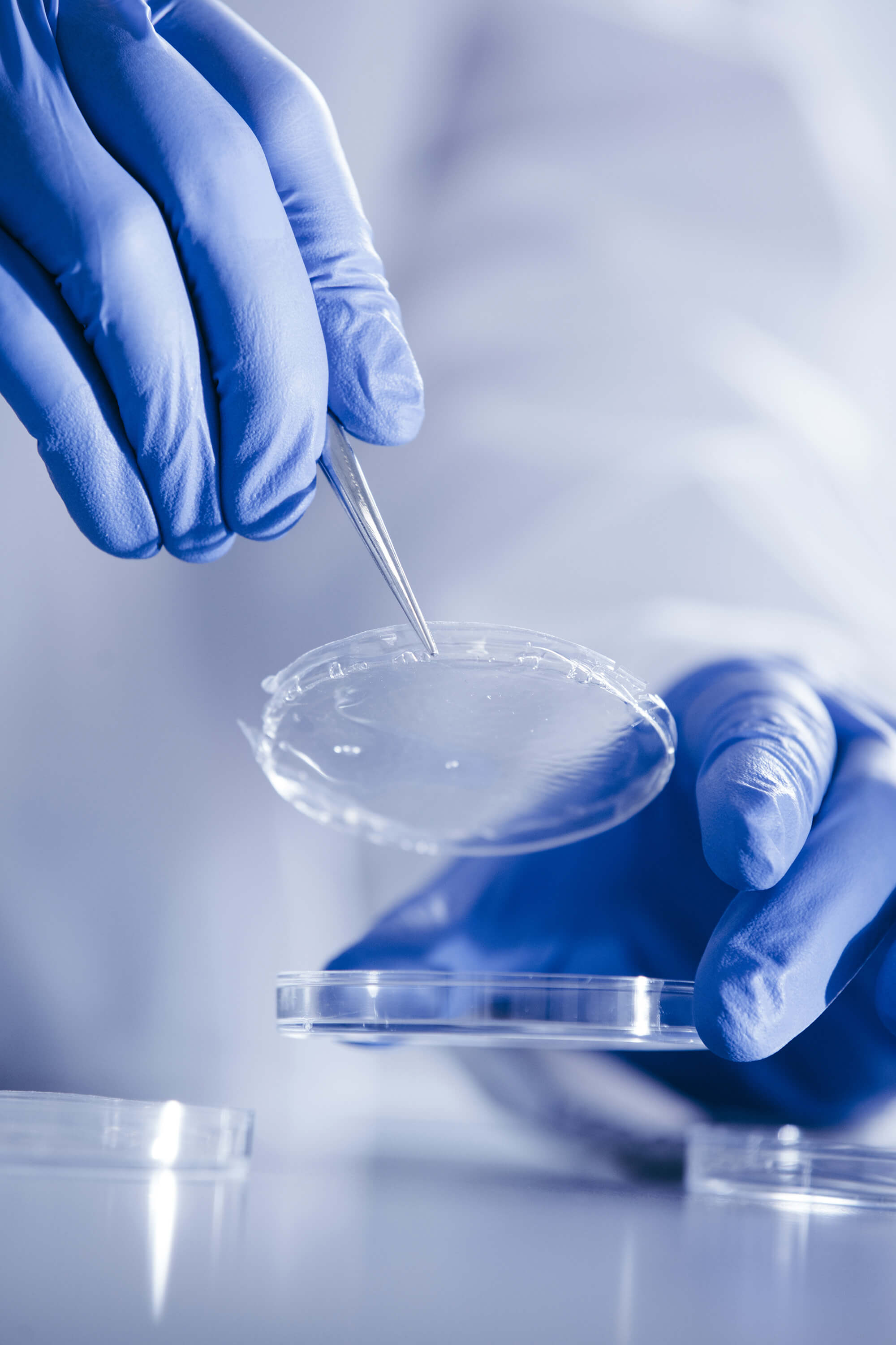 KLISBio ottiene €2,5M da EIC Accelerator Program per supportare la crescita aziendale in Europa