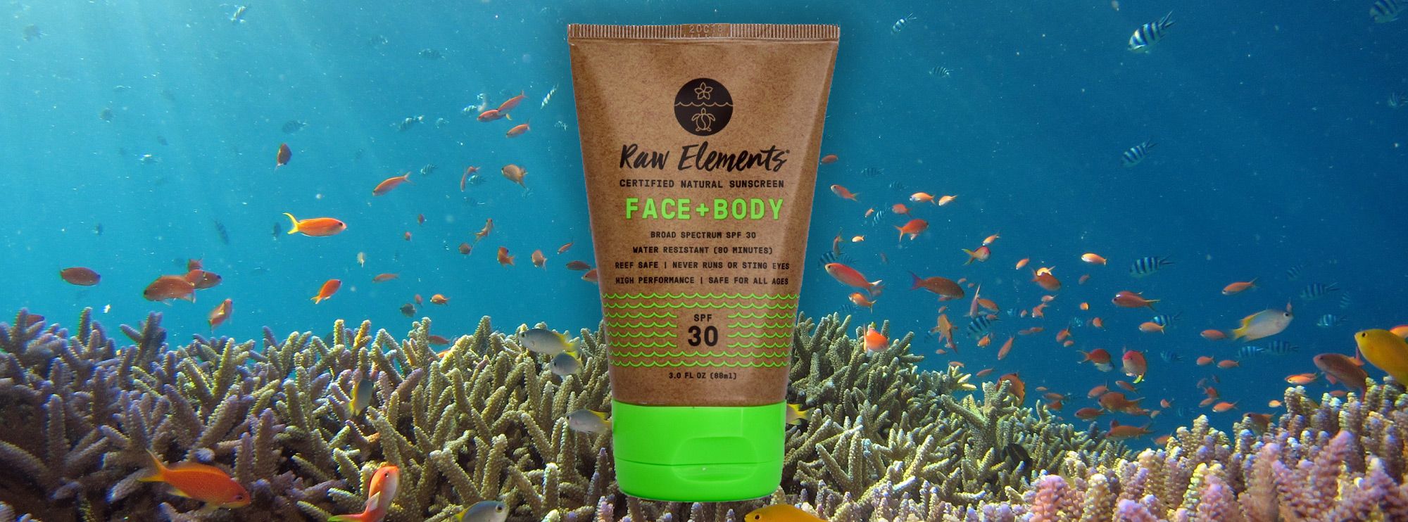 Welcome Aboard to Raw Elements!