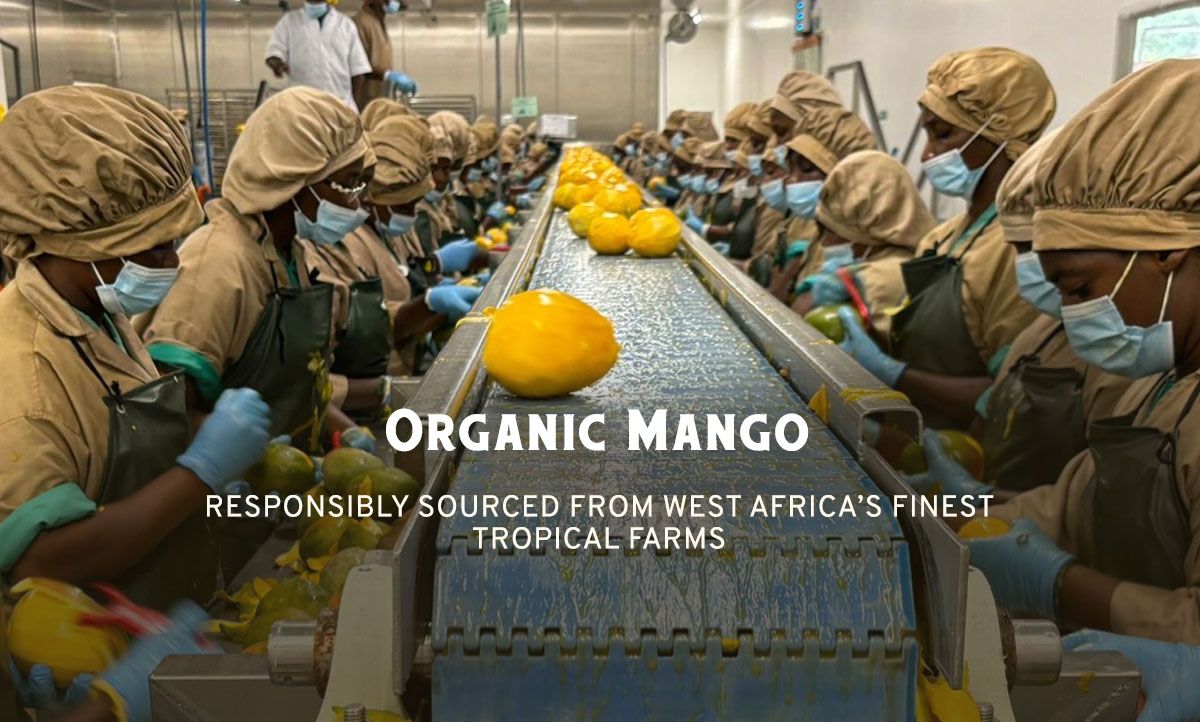 Customisable and flexible WordPress article template