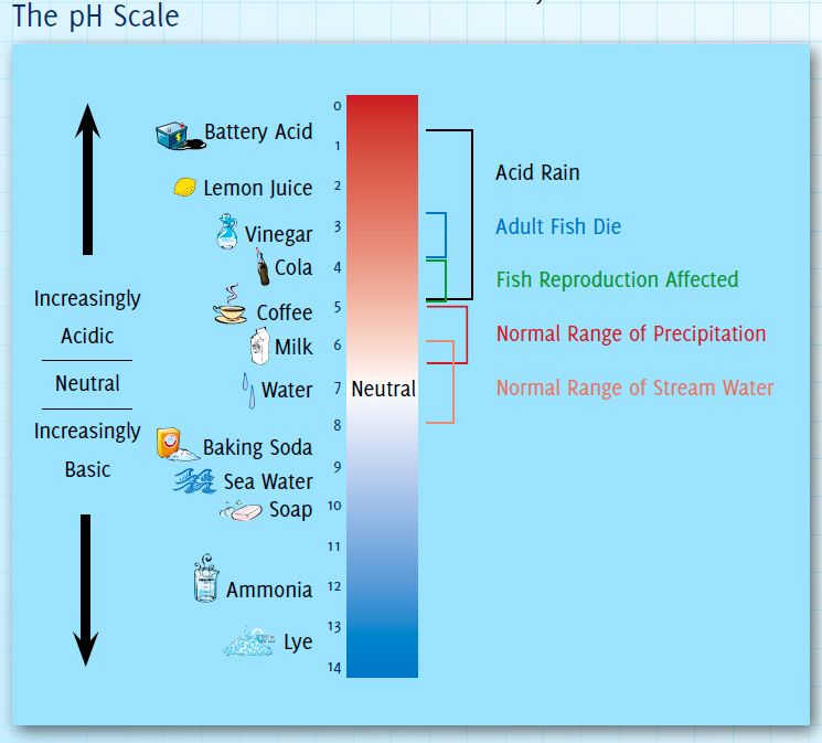 PH scale - Acid and Base