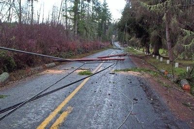 Storm - Downed power line danger