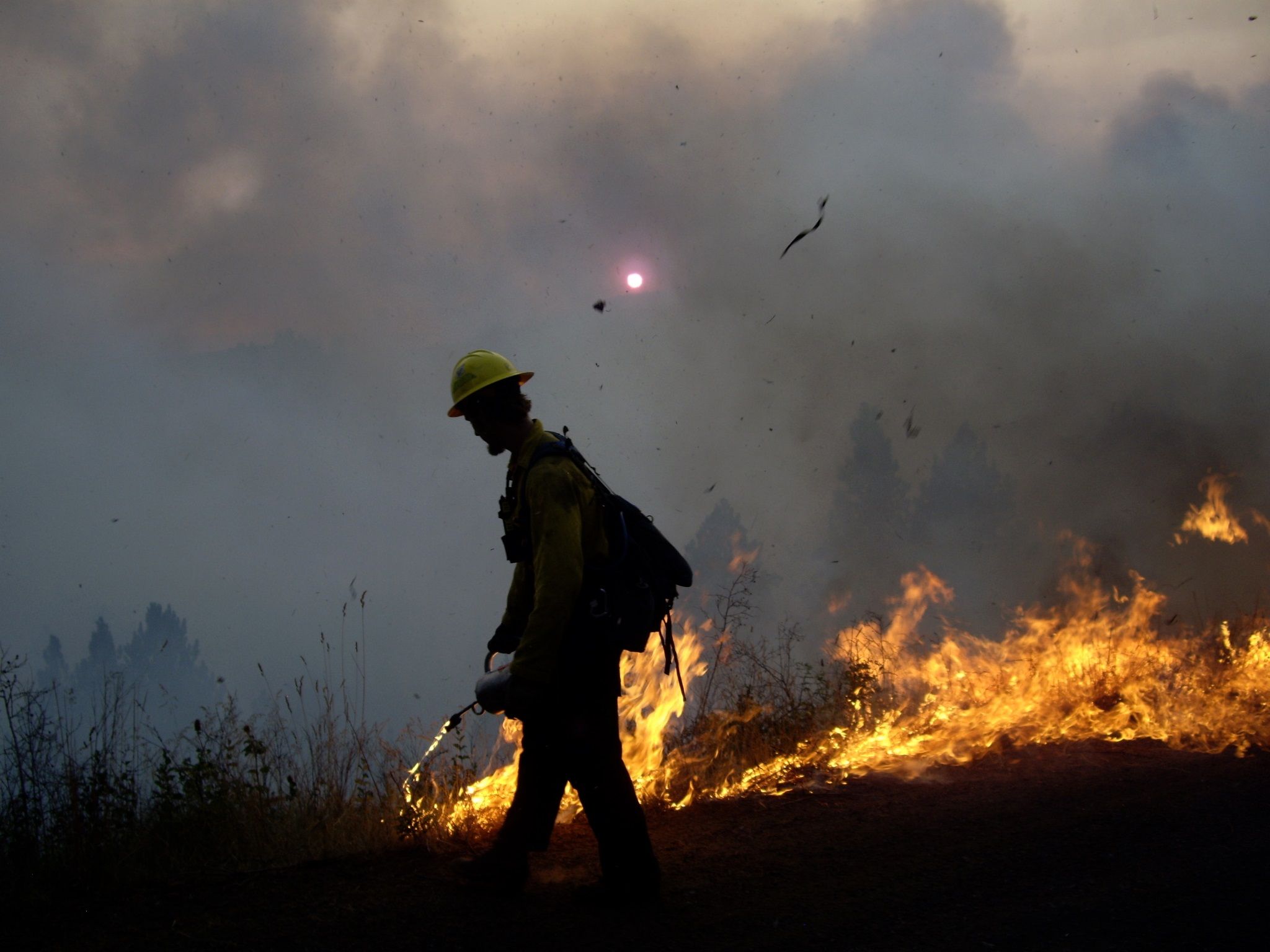 Fire: Prescribed burning of forest debris