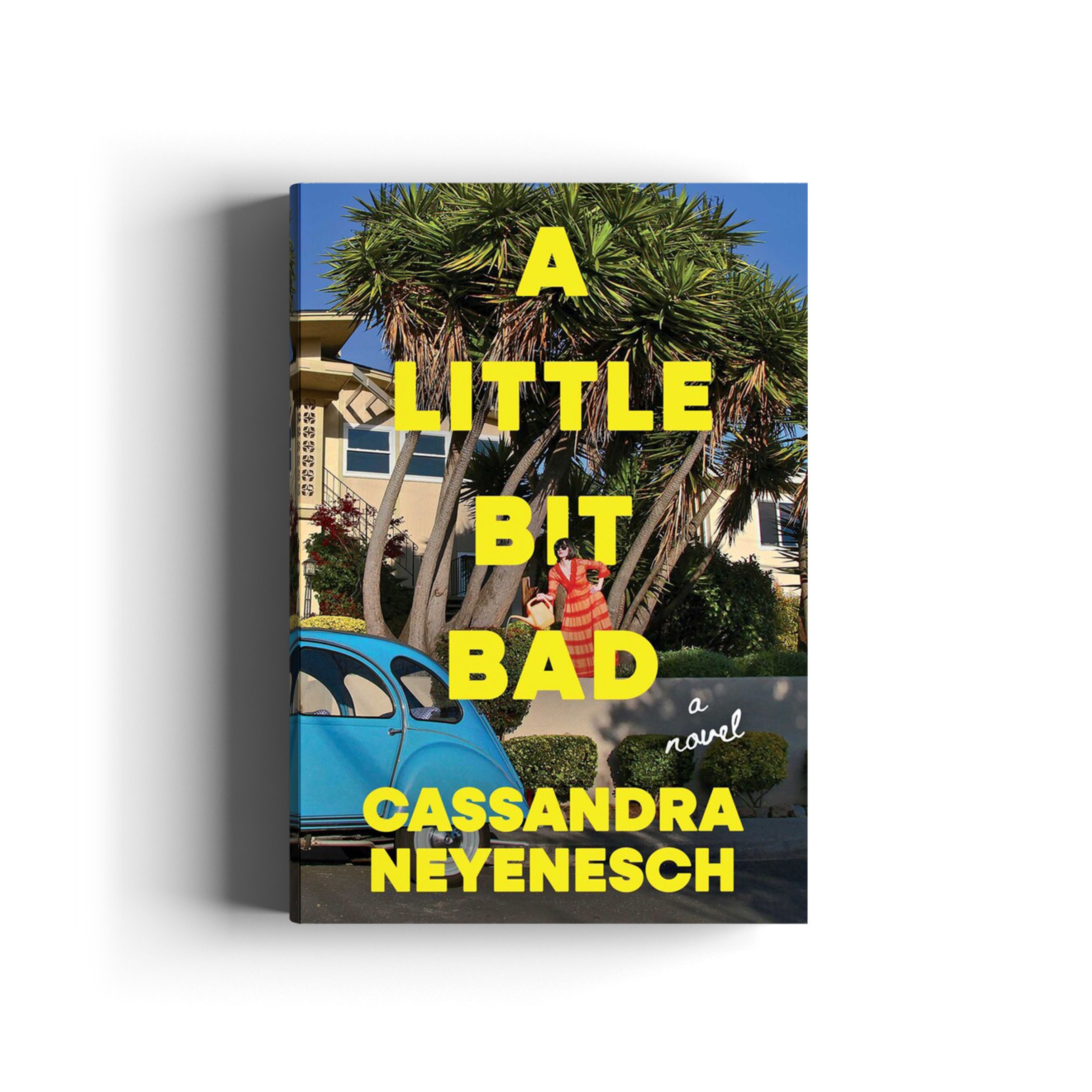 Book cover for A Little Bit Bad