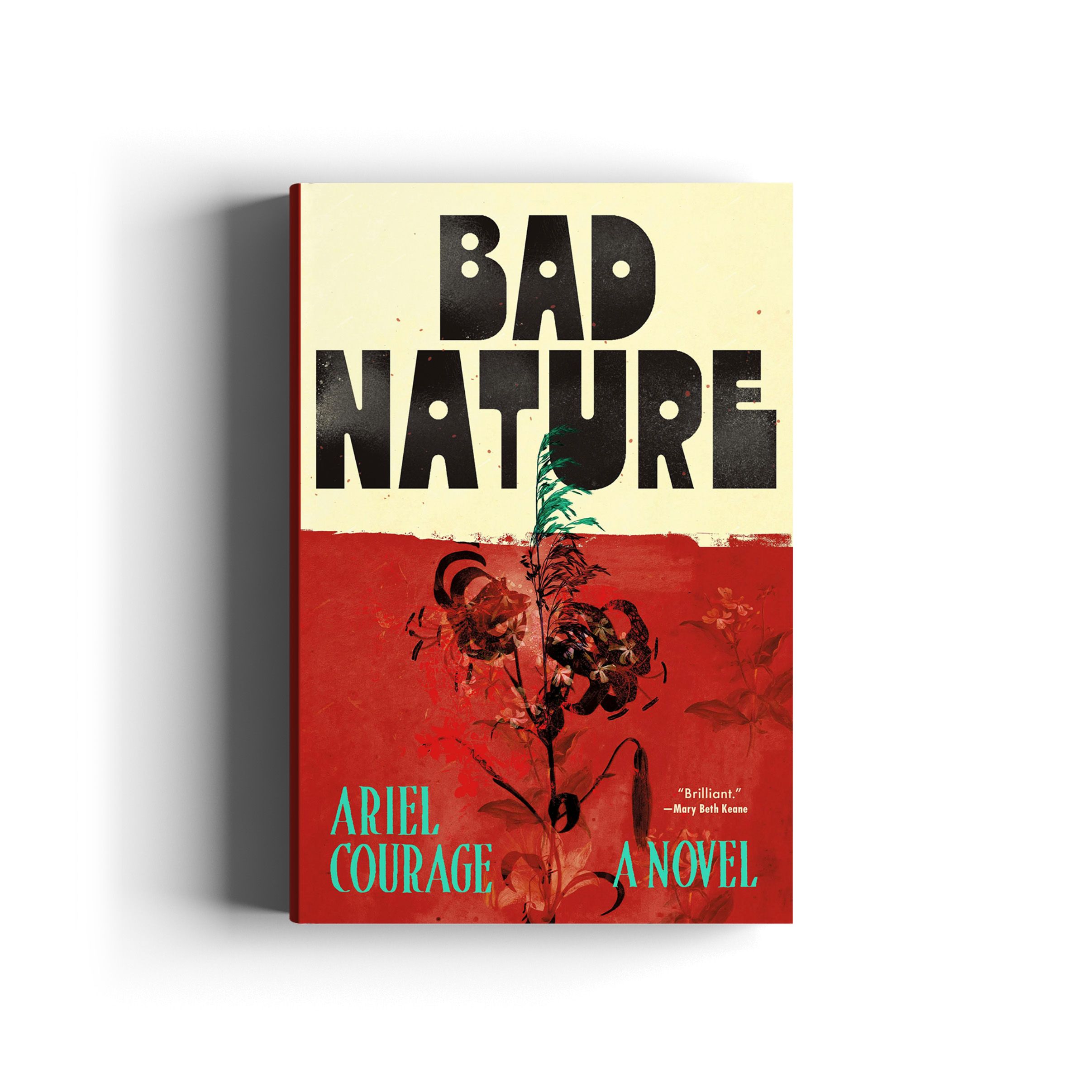 Book cover for Bad Nature