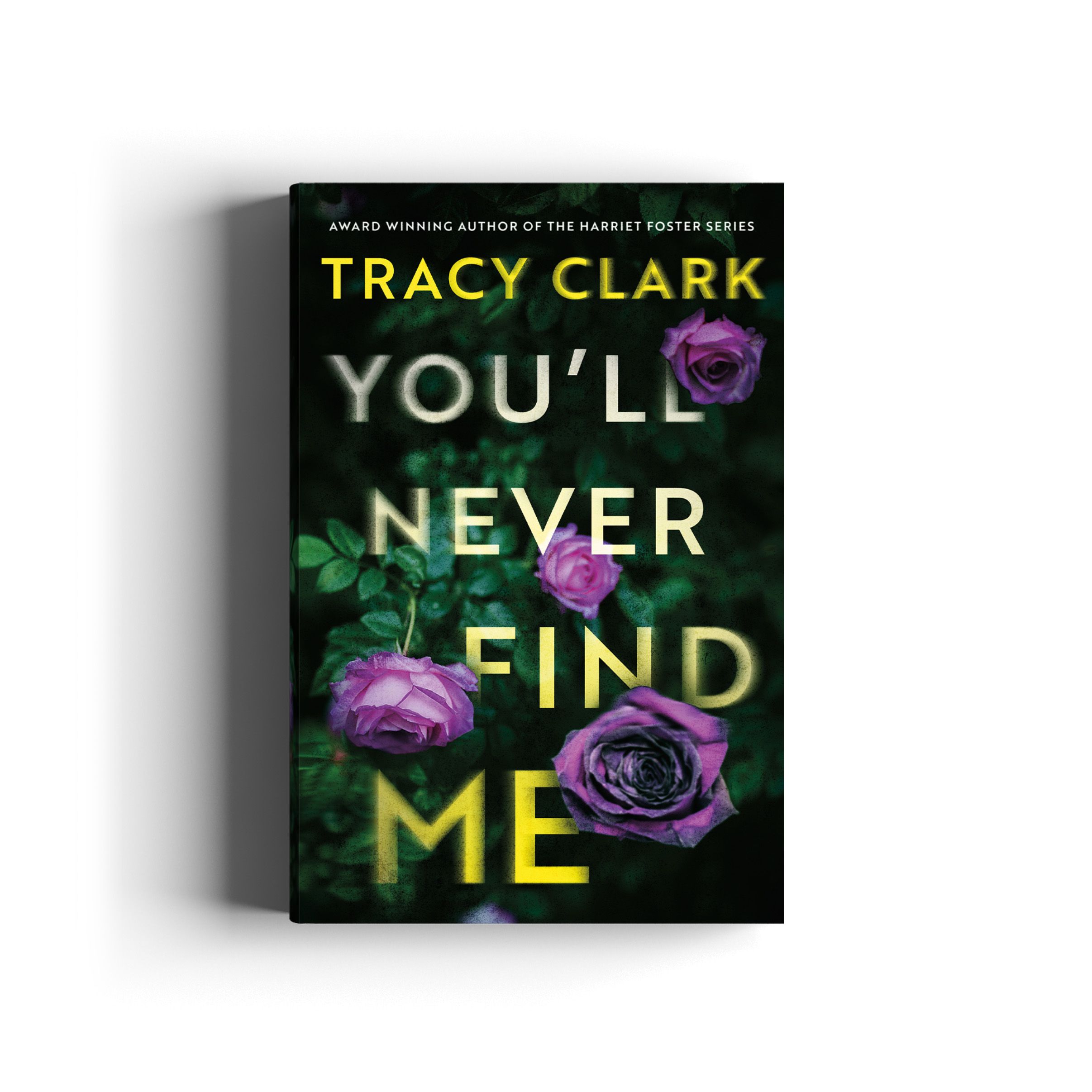 Book cover for You'll Never Find Me