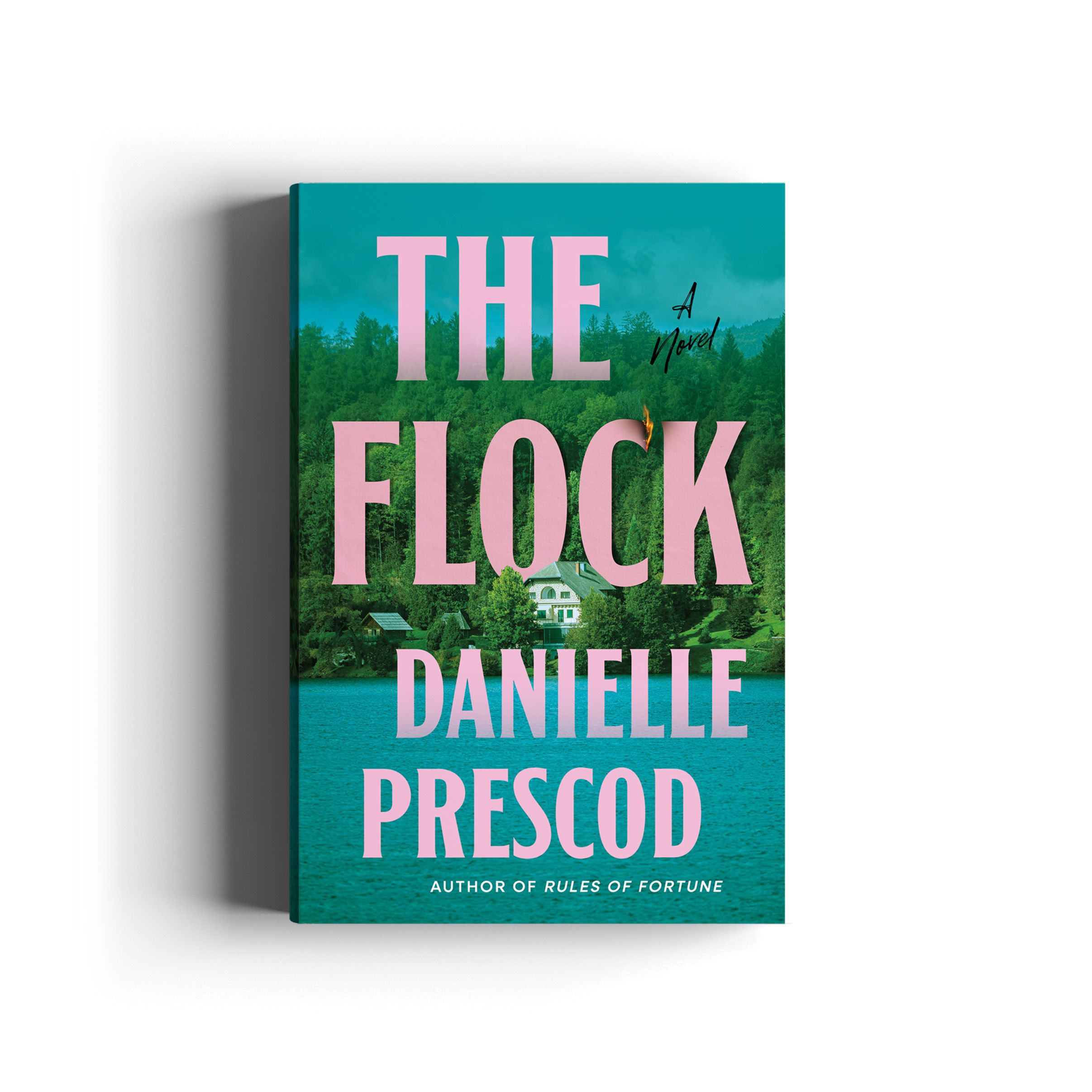 Book cover for The Flock