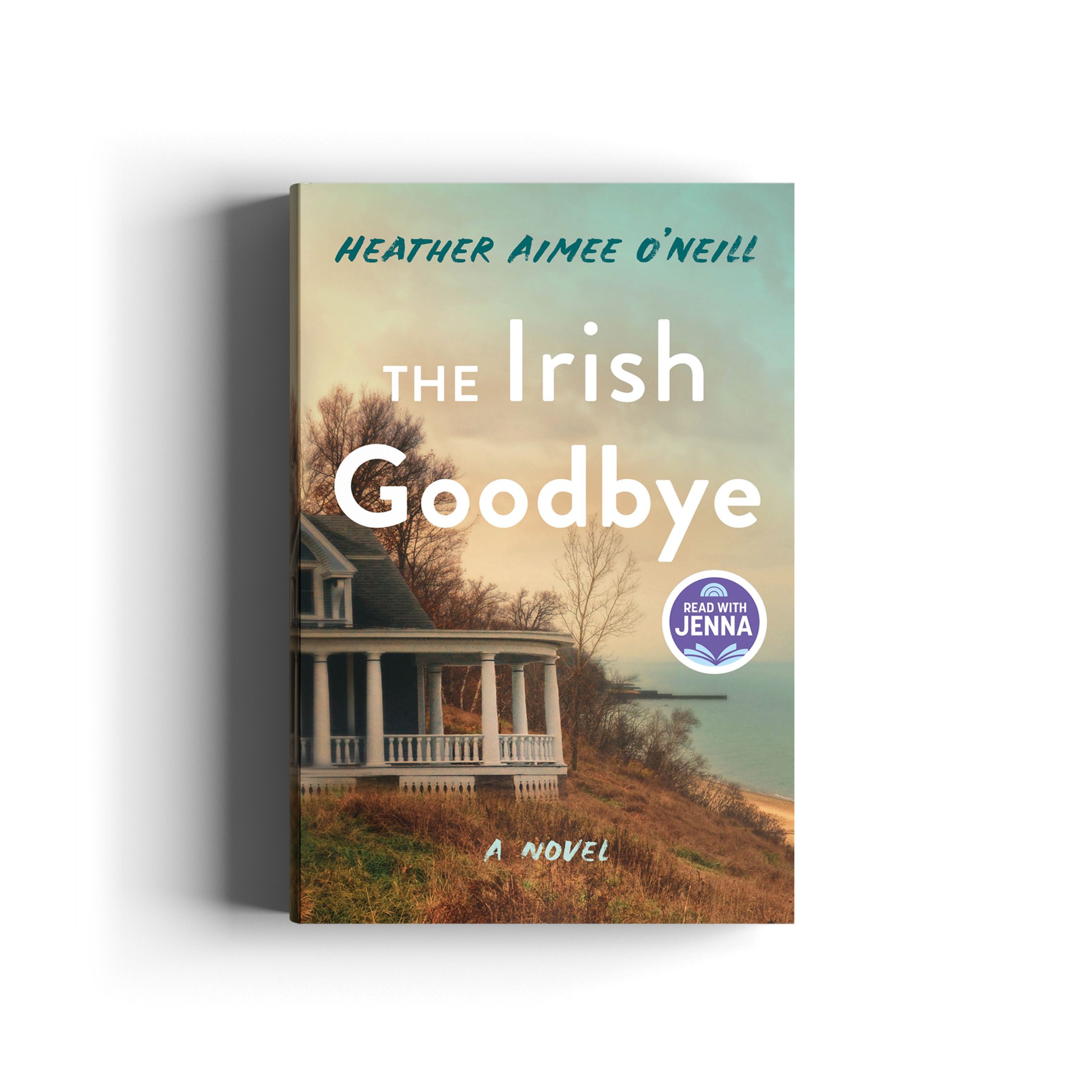 Book cover for The Irish Goodbye