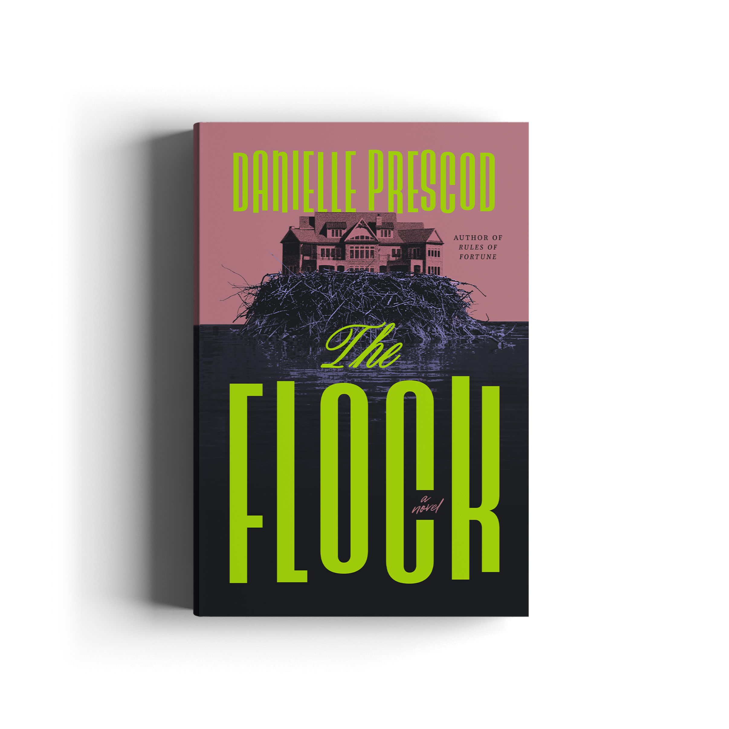 Book cover for The Flock