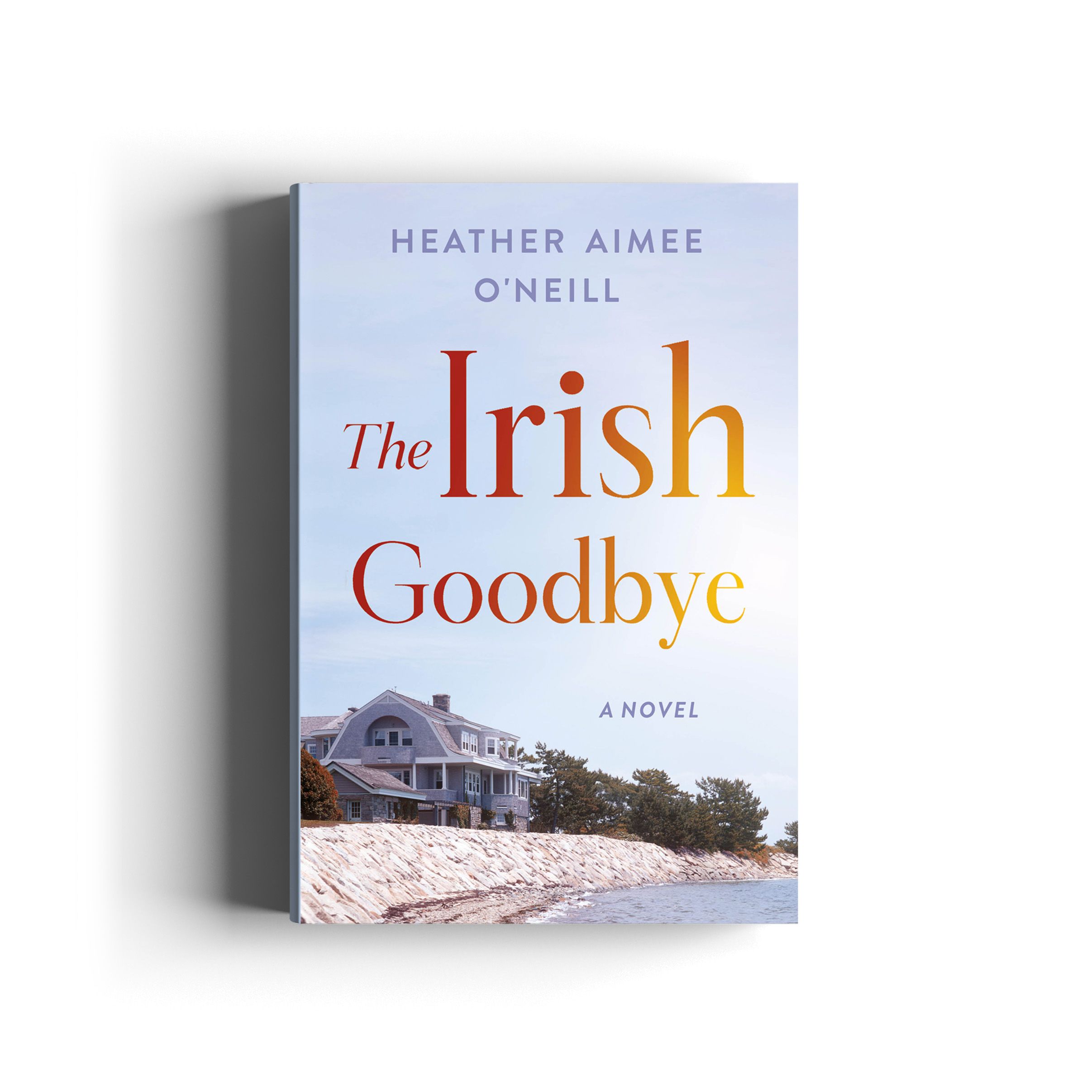 Book cover for The Irish Goodbye