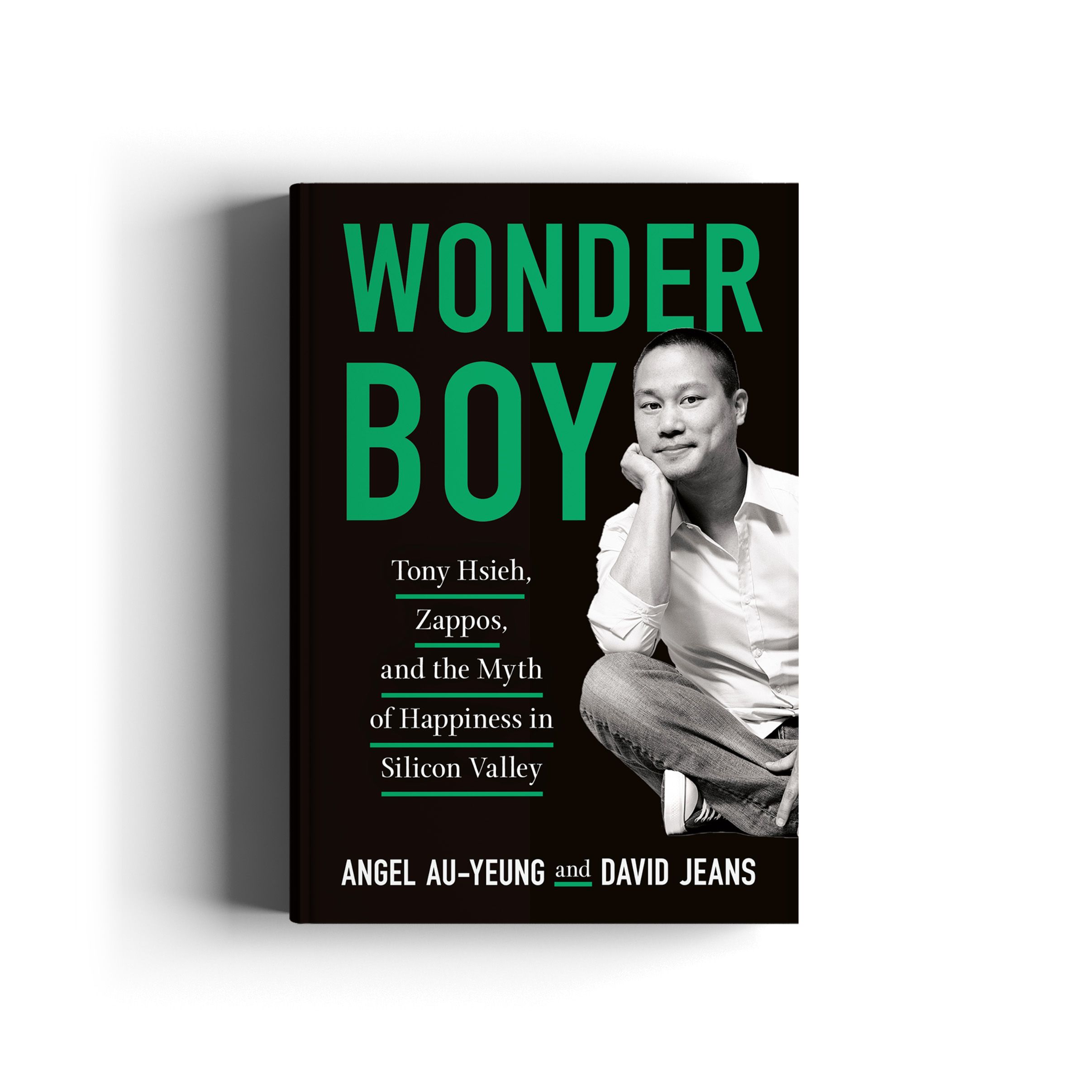 Wonder Boy series image 2