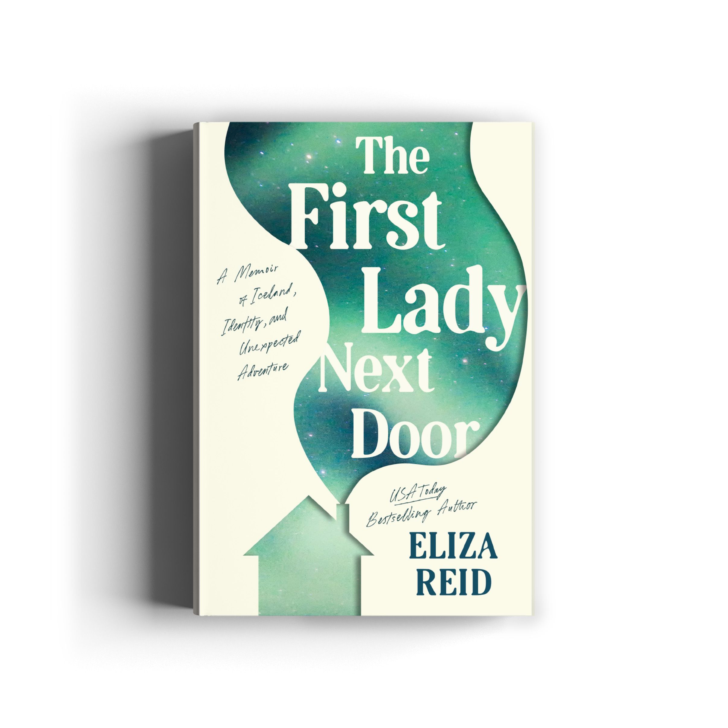 Book cover for The First Lady Next Door