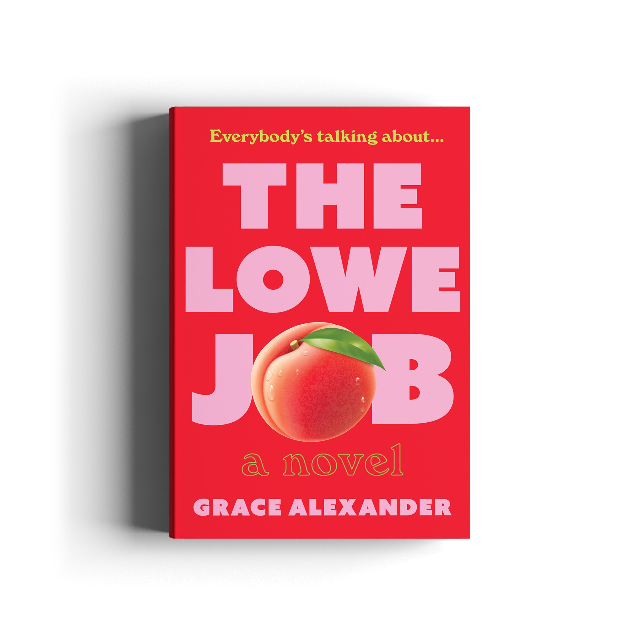 Book cover for The Lowe Job