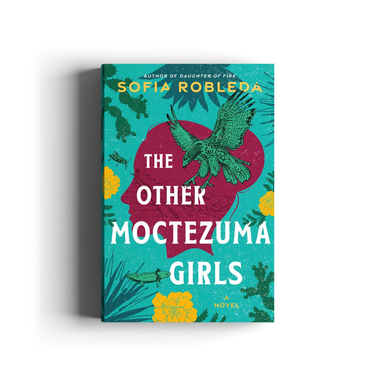 Book cover for The Other Moctezuma Girls
