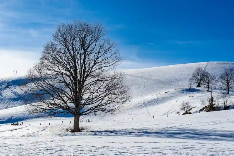 Nordic centre — Cross-country skiing
