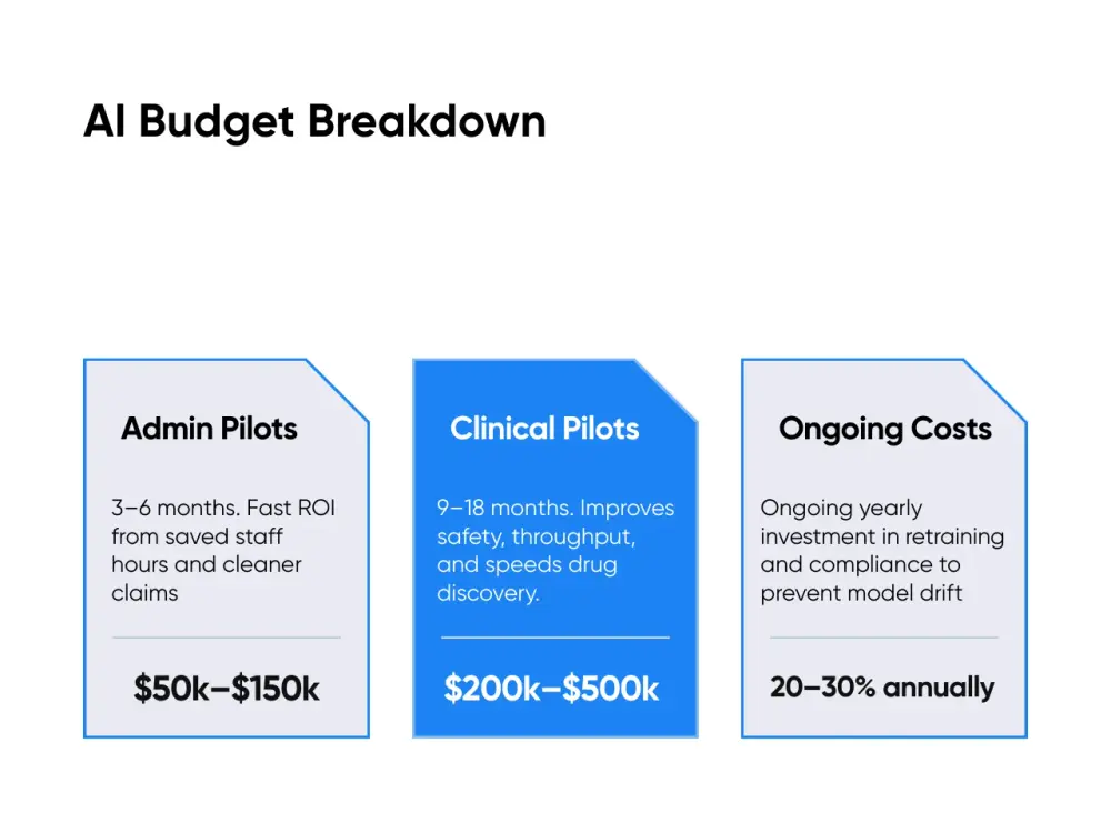 AI Budget Breakdown