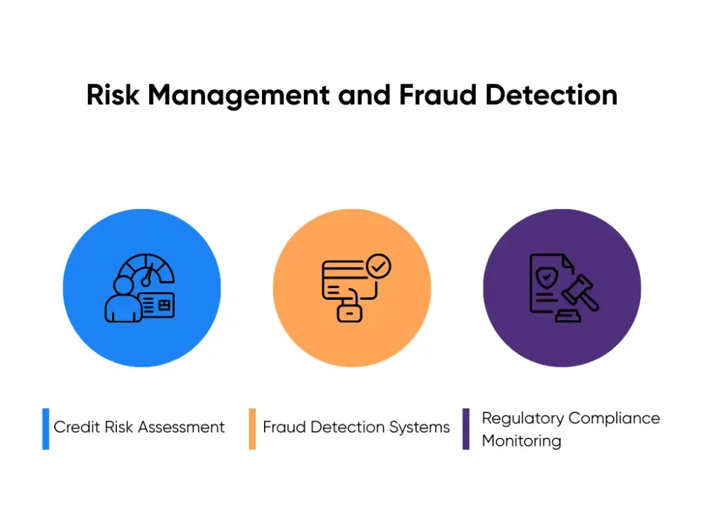 Risk Management and Fraud Detection