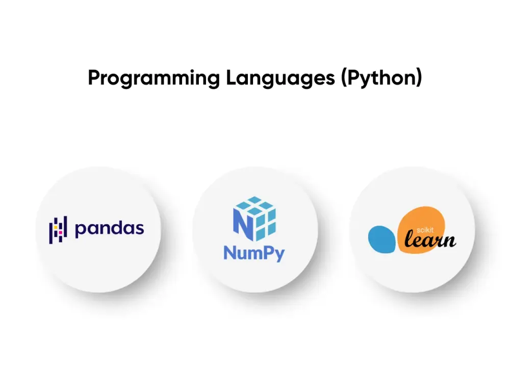 Programming Languages (Python)