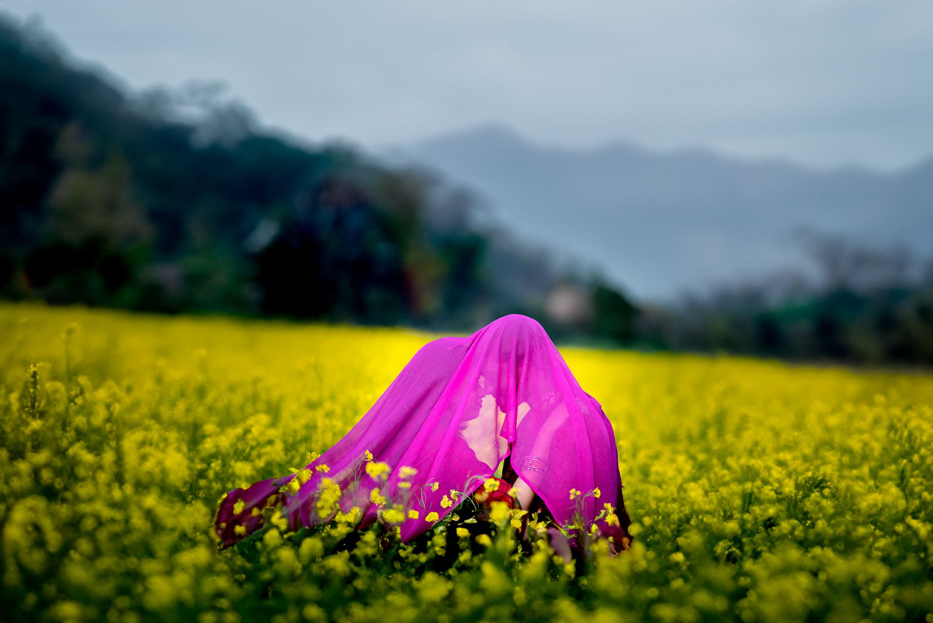 Mustard Field Pre Wedding Photography in Kolkata | Romantic Couple Shoot by The Vedic Wedding