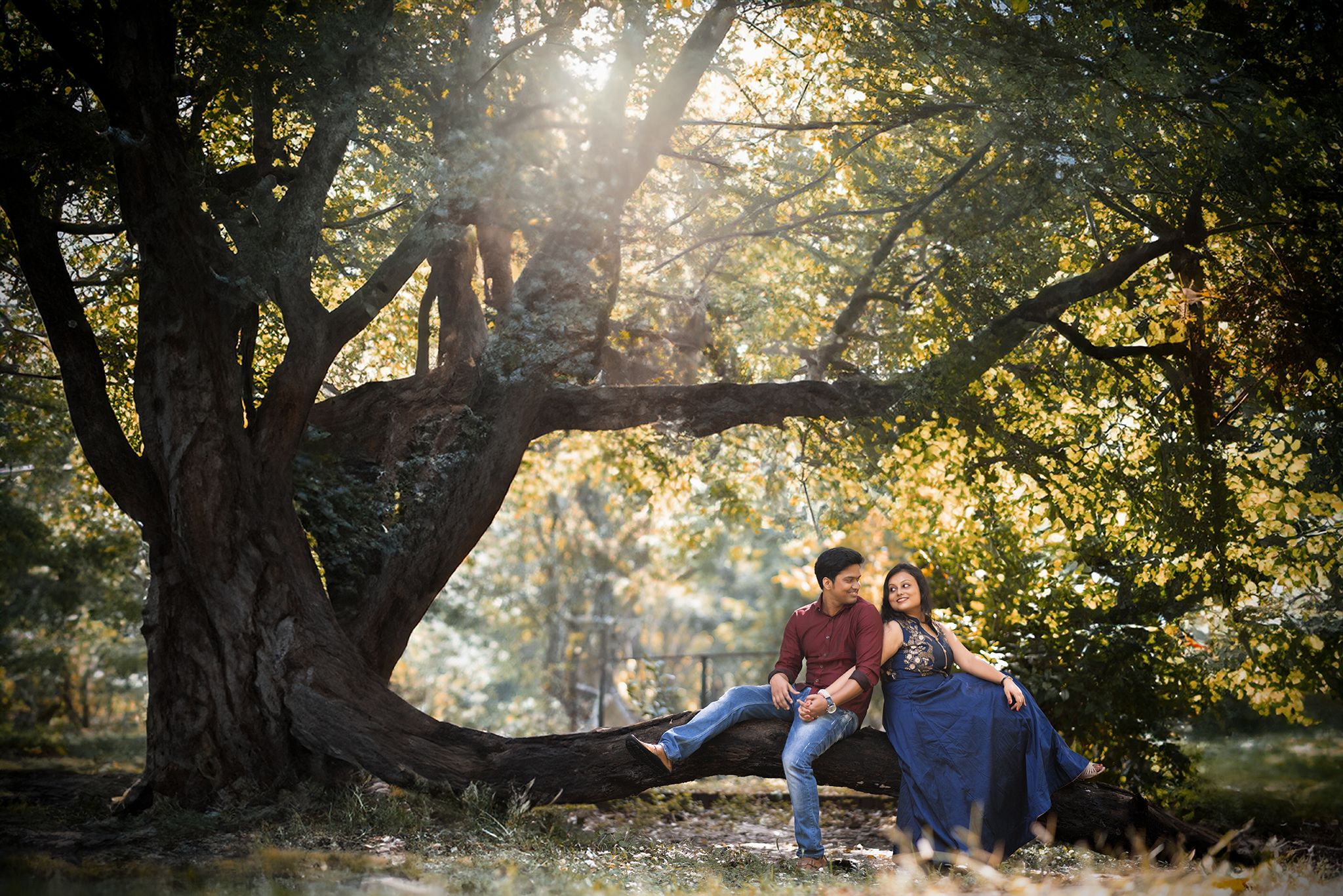 Romantic Nature Pre Wedding Photography Under a Majestic Tree | Outdoor Couple Shoot by The Vedic Wedding