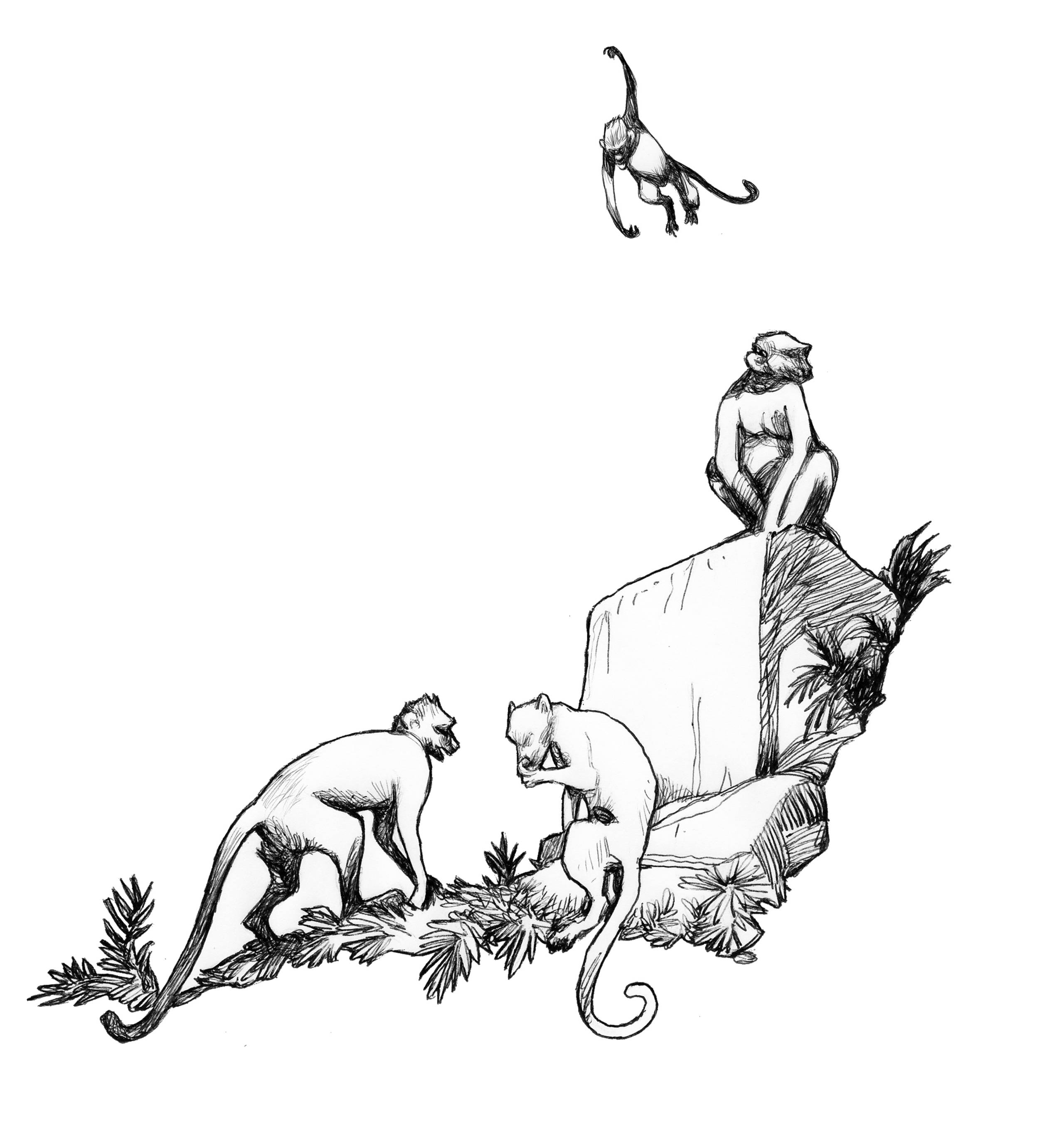 La legge della Jungla