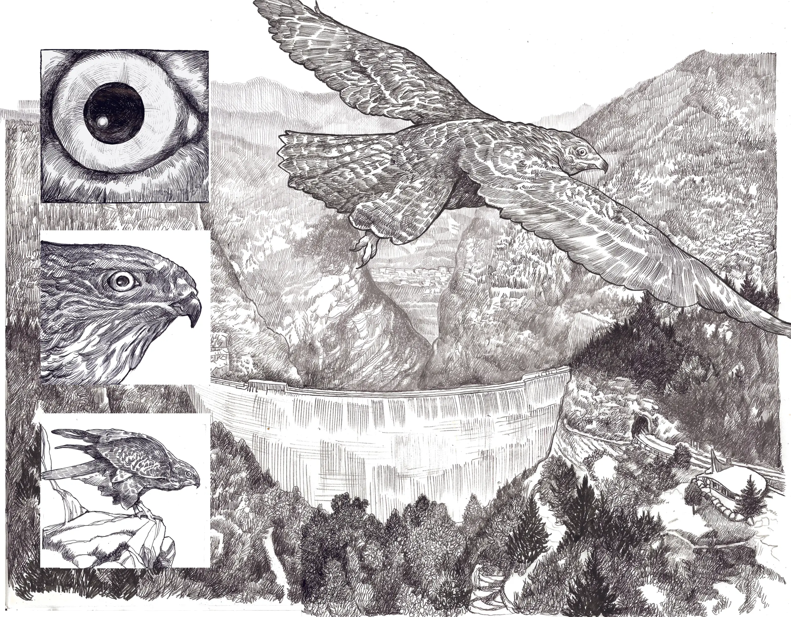 Storia del Vajont