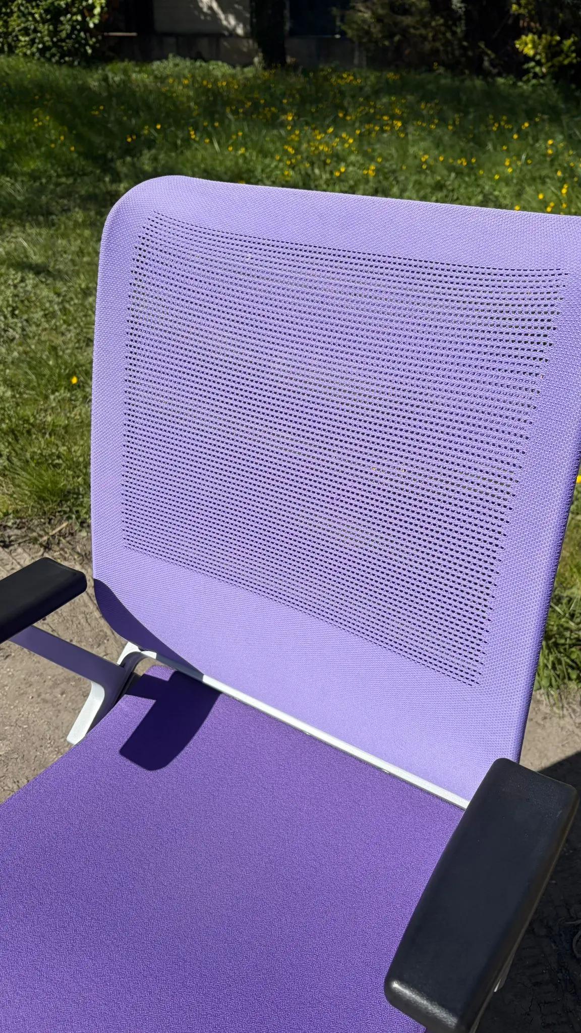 Ergo violette