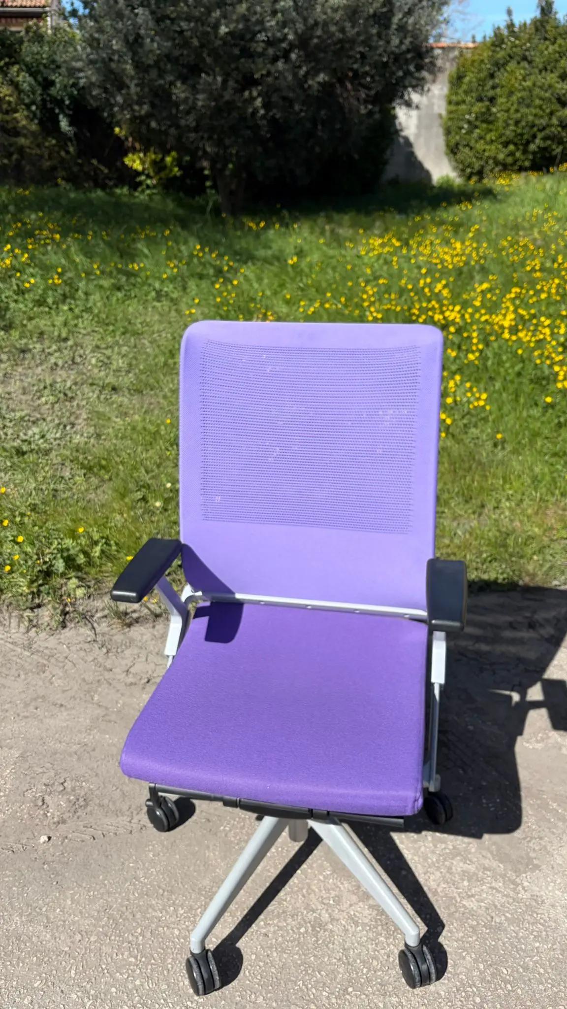 Ergo violette