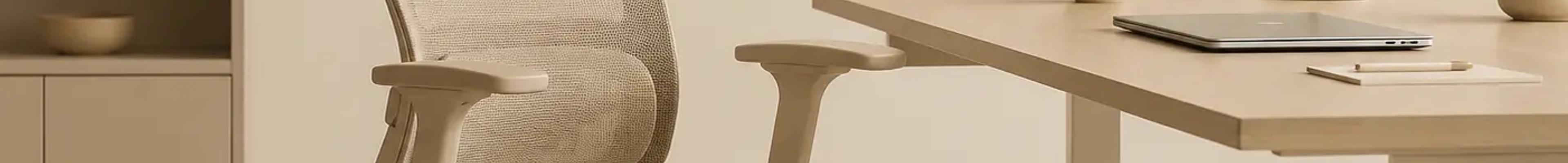 Assise