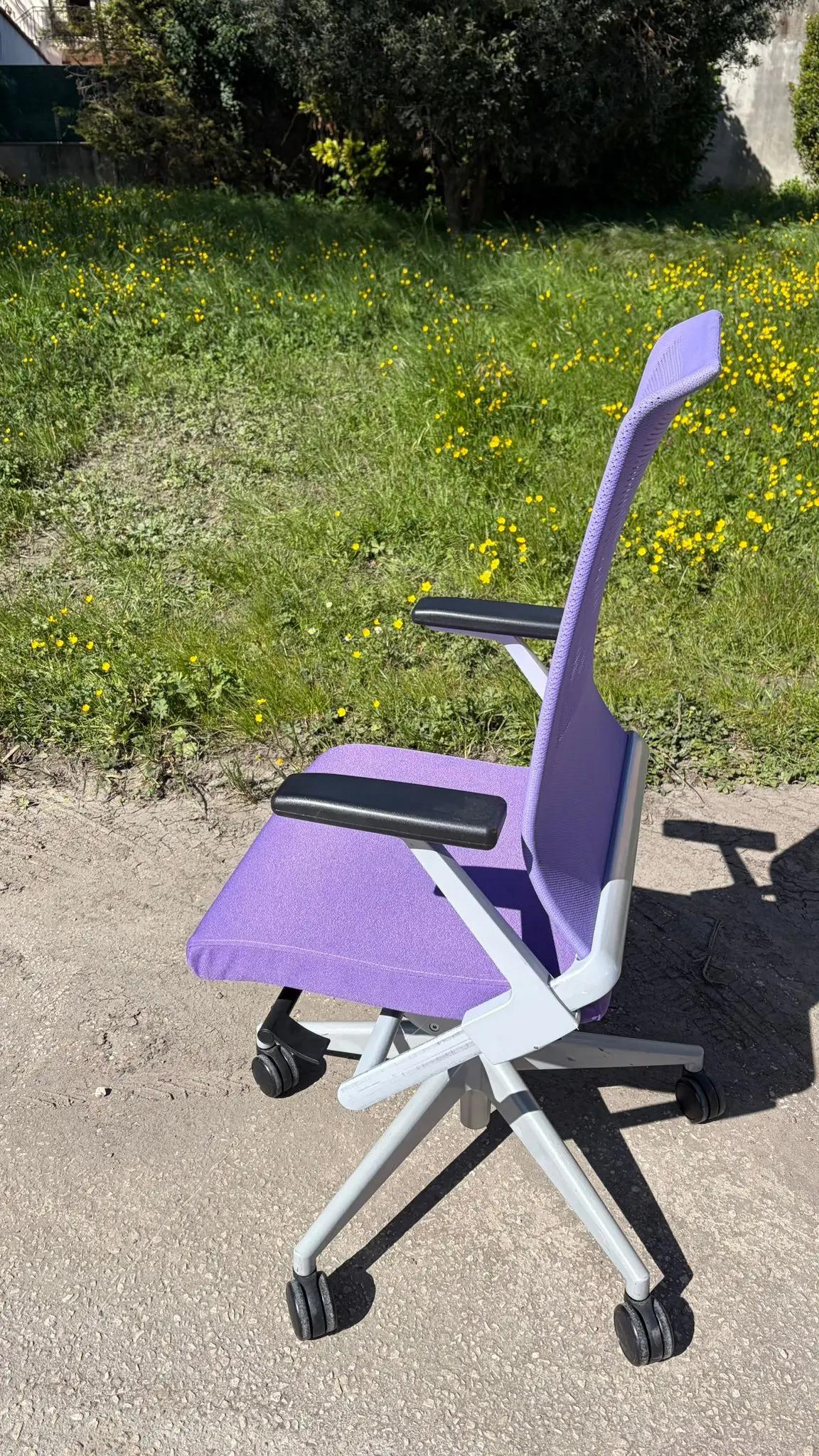Ergo violette