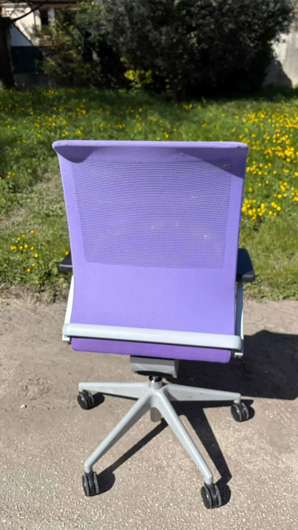 Ergo violette