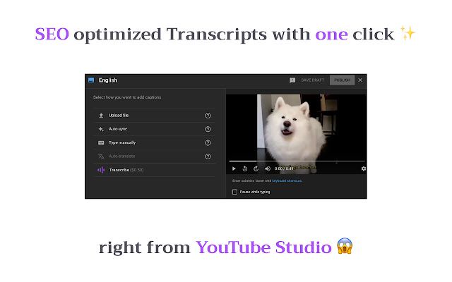 YouTube Transcripts screenshot