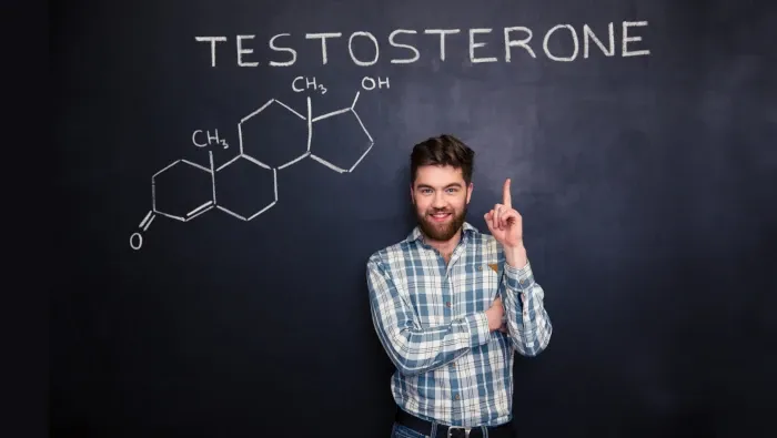 testosterone molecule