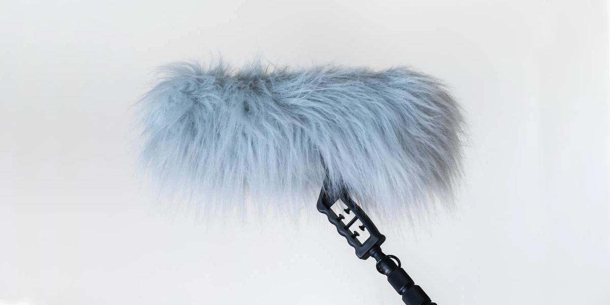 Why Are Some Shotgun Microphones So Furry?