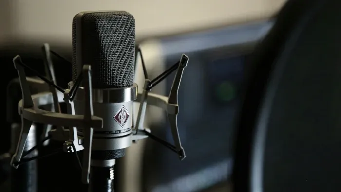 Large Diaphragm Condenser