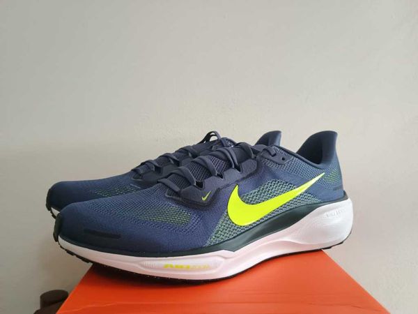 Pegasus 41