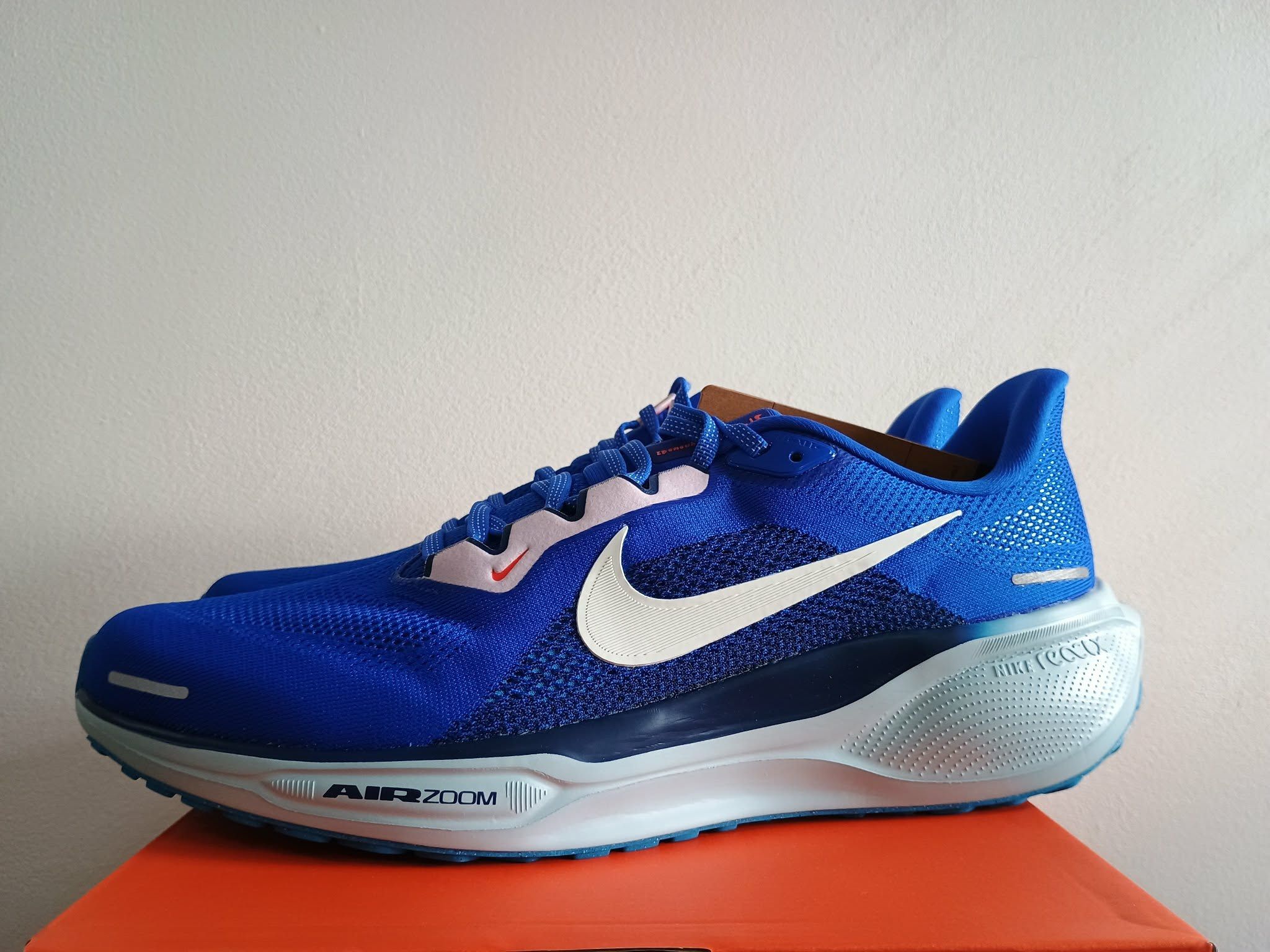 Pegasus 41 - slika 5