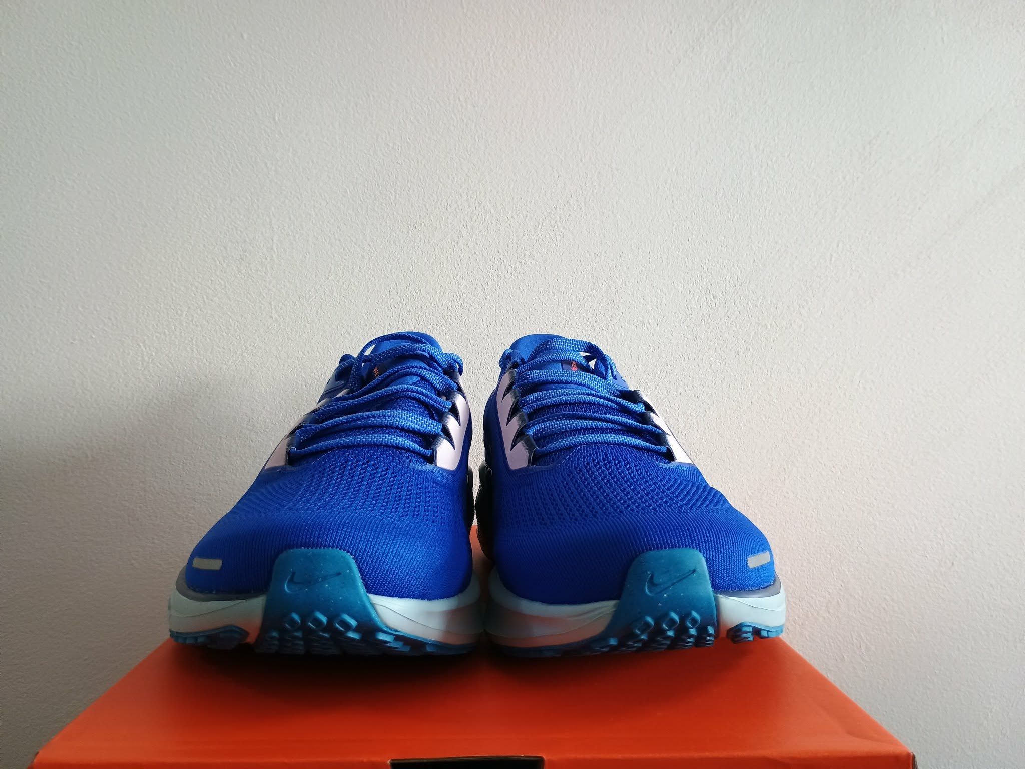 Pegasus 41 - slika 6