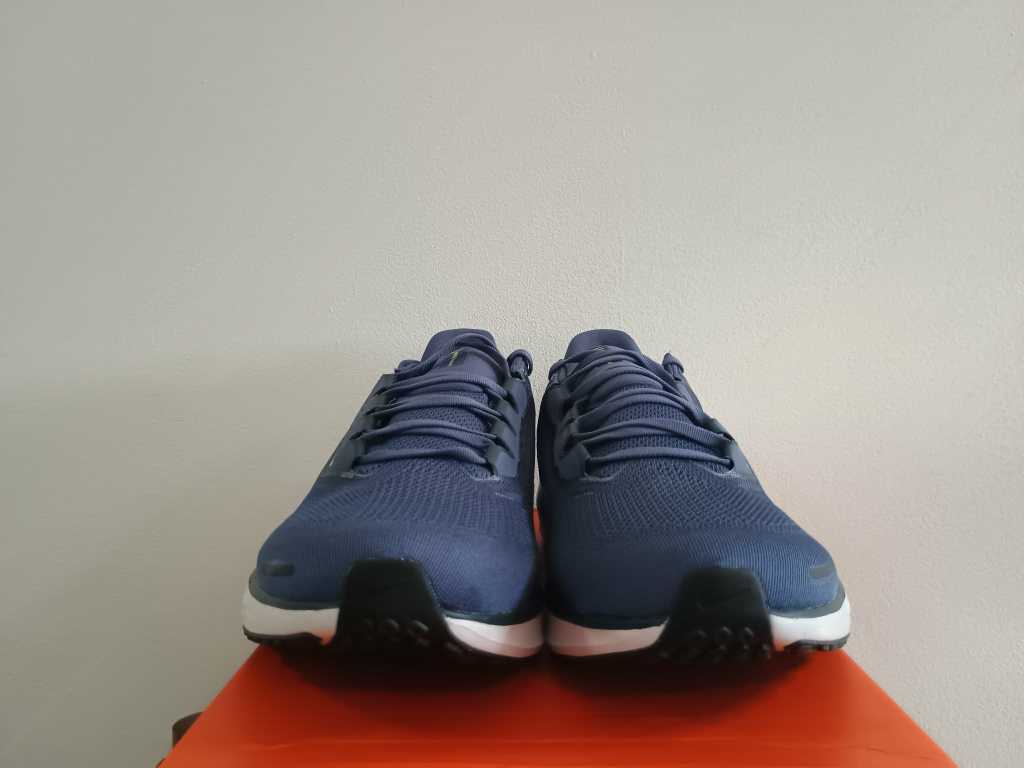 Pegasus 41 - slika 2