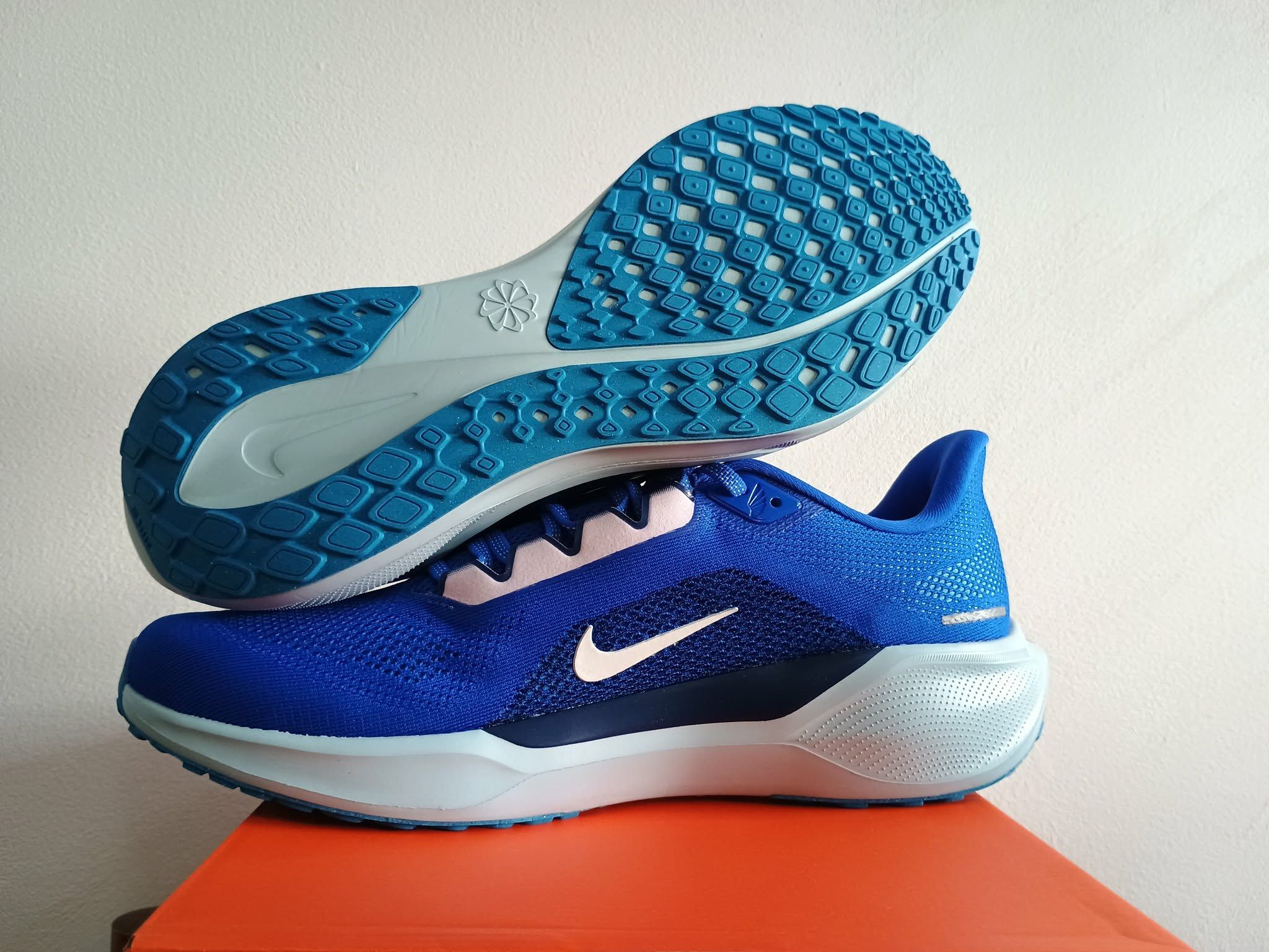 Pegasus 41 - slika 8